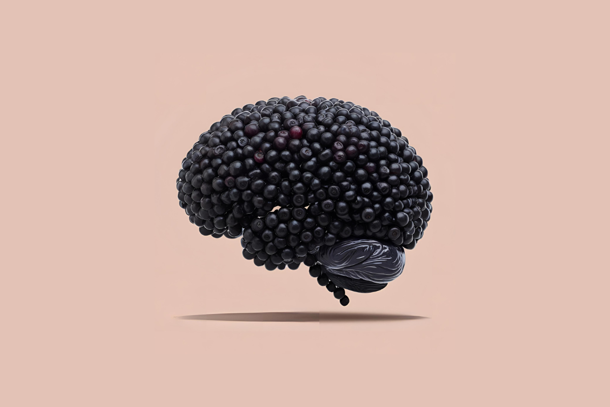 New Zealand Blackcurrant Extract Builds Blood Vessels in the Brain!