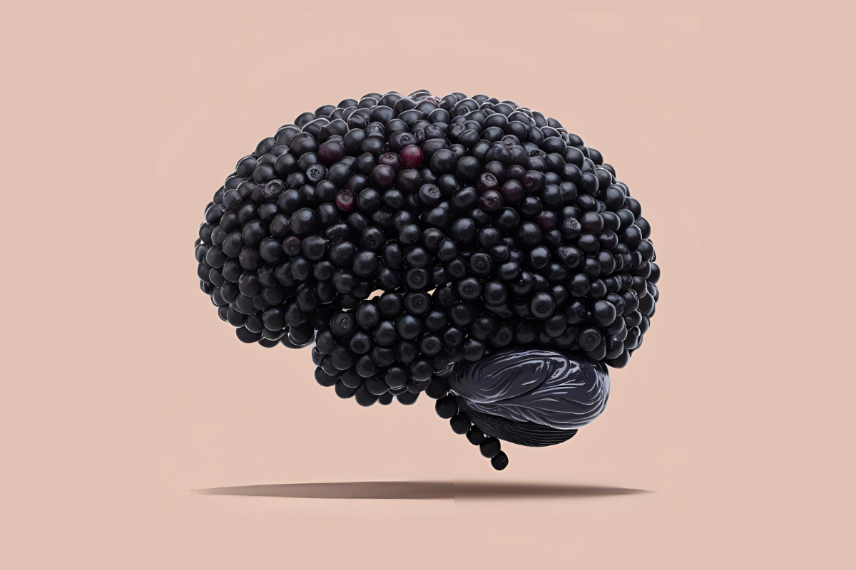 New Zealand blackcurrant extract builds blood vessels in the brain!