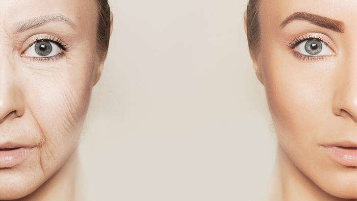 The Truth About Aging